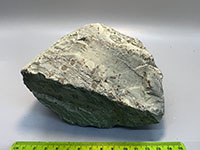 a medium gray lava rock with no visible crystals, with some flow banding